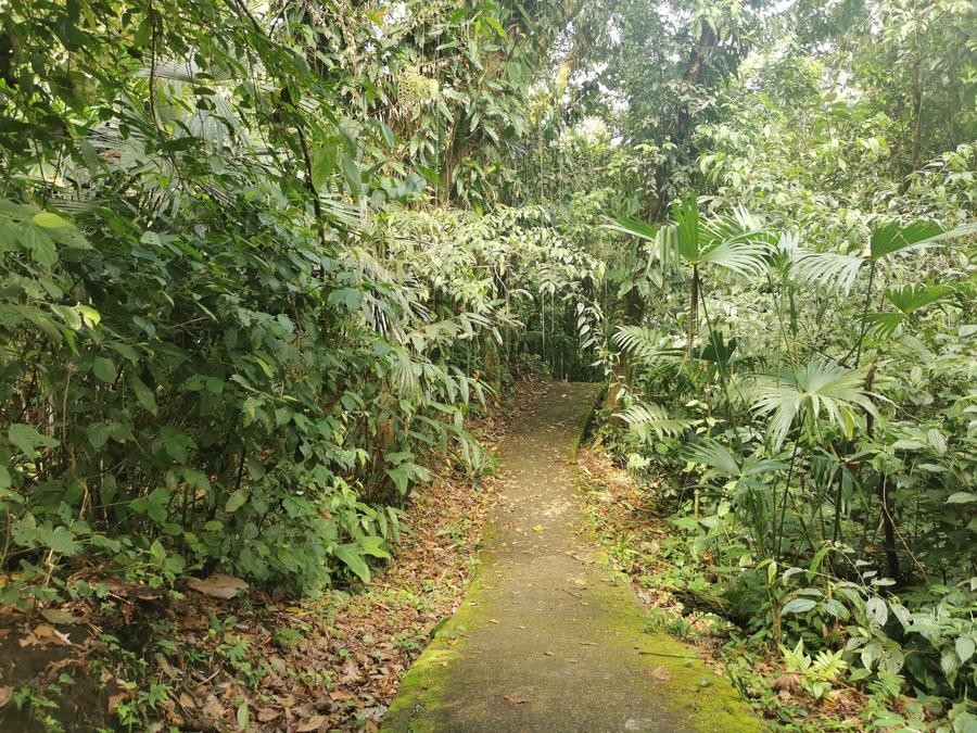 Sendero El Tororoi en el Parque Nacional Volcán Arenal