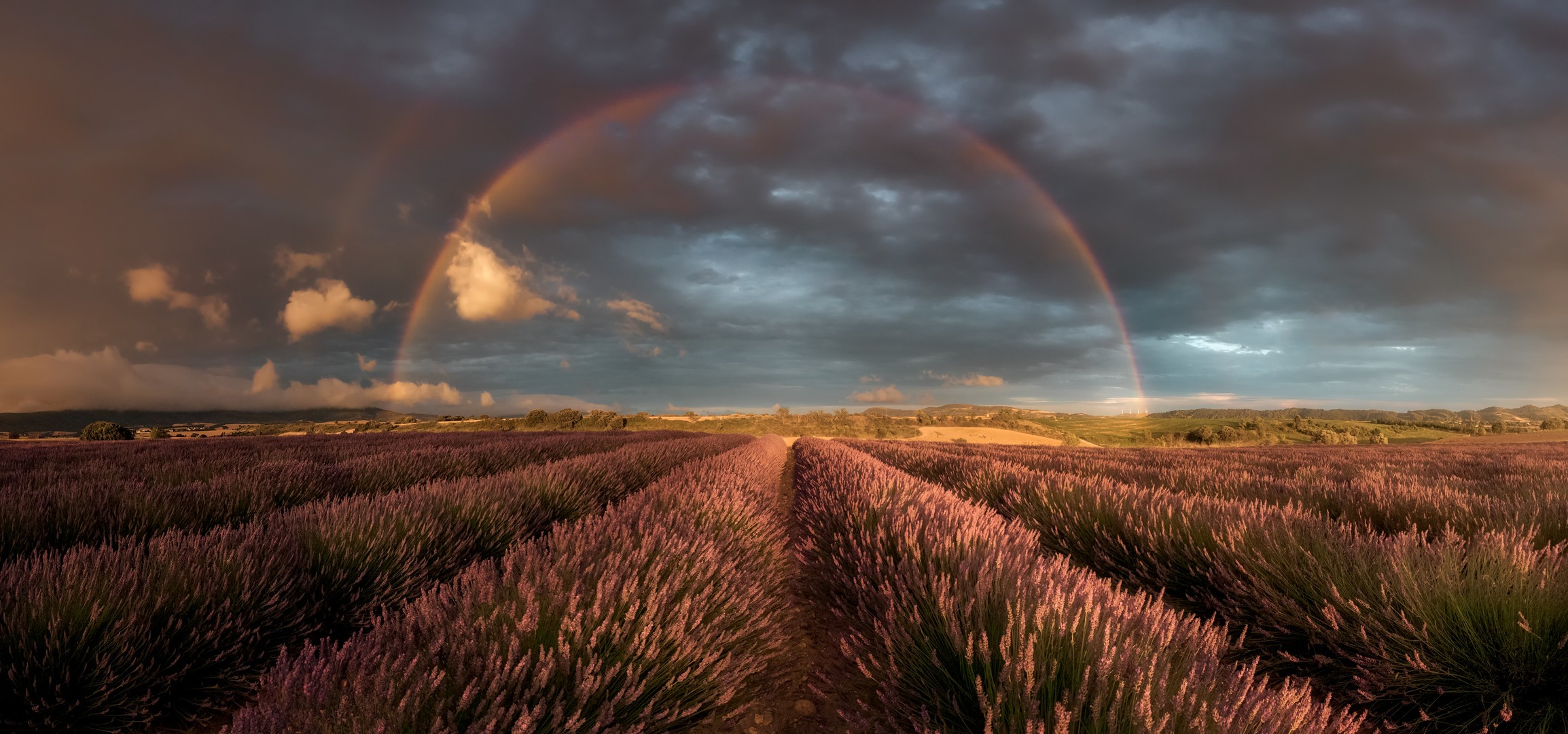 Sunset image with lavanda field and rainbow