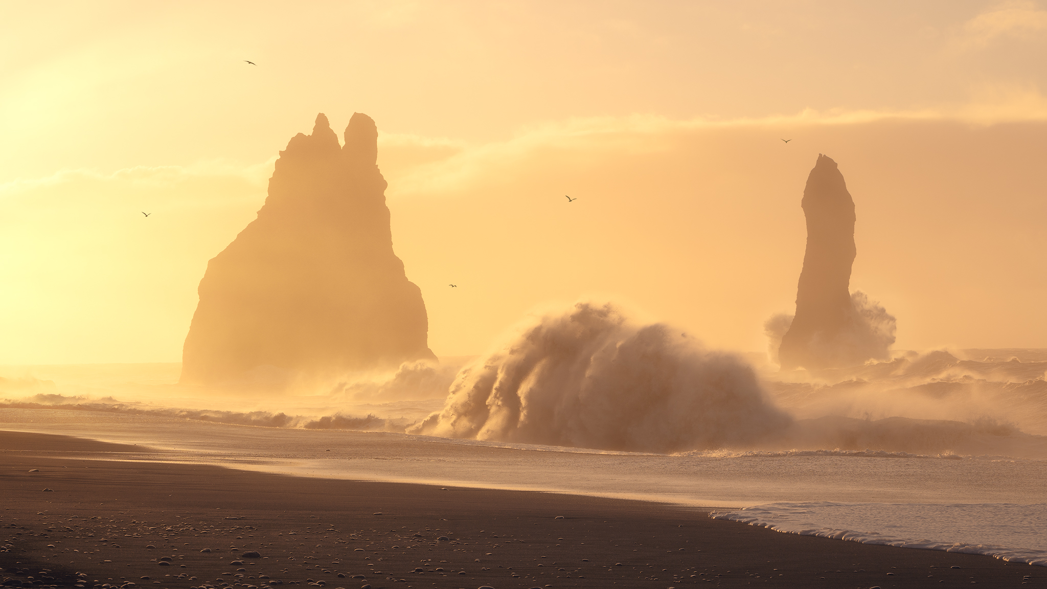 Iceland Black Beach at Sunset