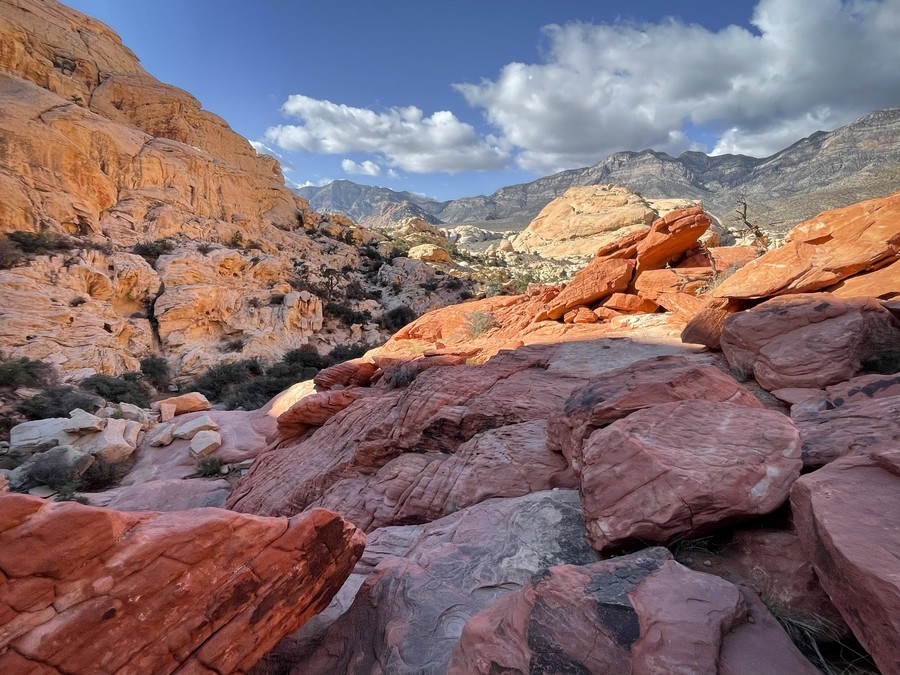 Calico Tanks Trail, guide to Red Rock Canyon