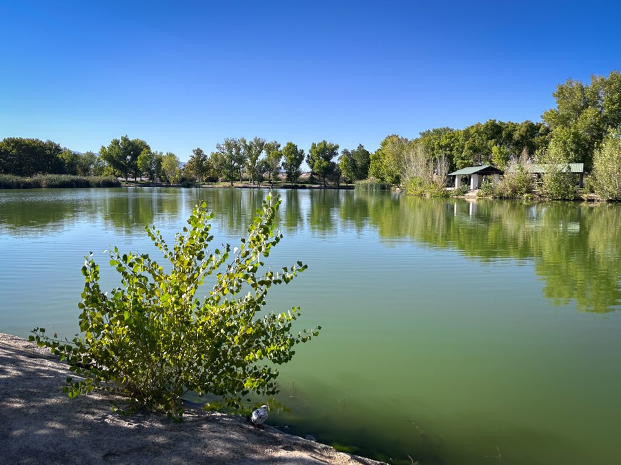 Monumento Nacional Tule Springs Fossil Beds, que visitar cerca de las vegas