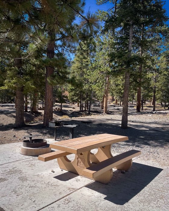 McWilliams Campground, Las Vegas area campground