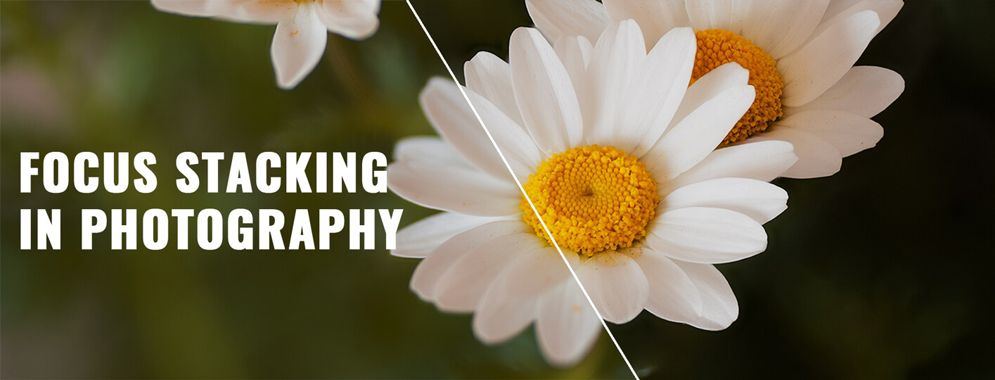 11 Tips to Impressive Simplicity Photography