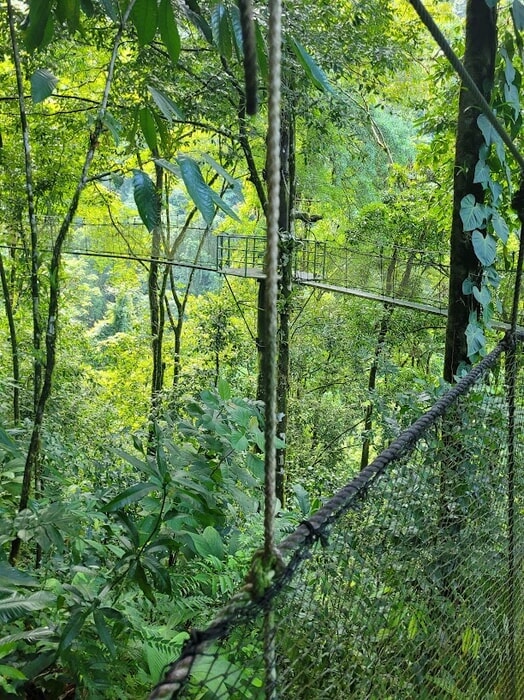 Rainmaker Park, un sitio increible que ver en costa rica