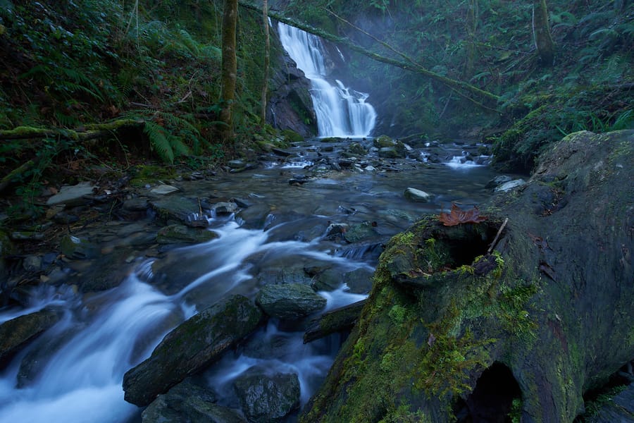 Review the result of the focus stacking process before