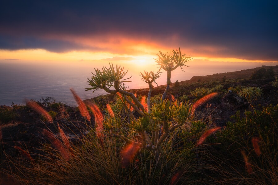 UNEXPECTED-SUNSET