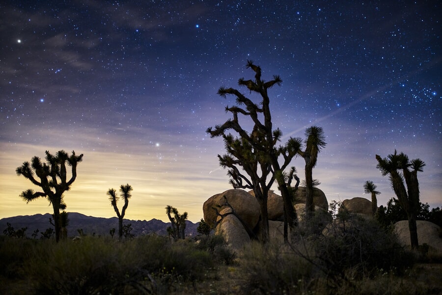 rock formations and trees under a stary sky in Joshua Tree National Park