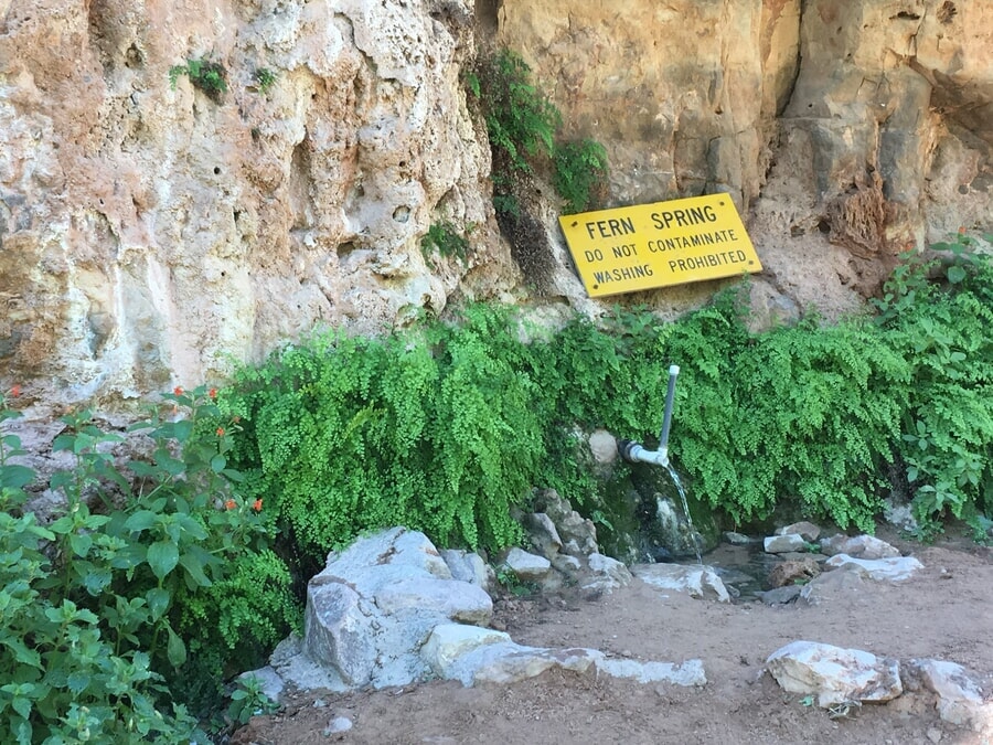 Fern Spring, un lugar para conseguir agua en el sendero de Havasu Falls