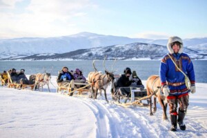 Tromso en navidad tireo de renos tour