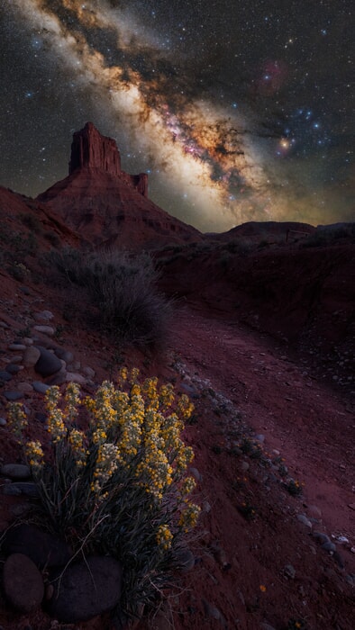 A breathtaking view of the Milky Way galaxy illuminating the canyonlands
