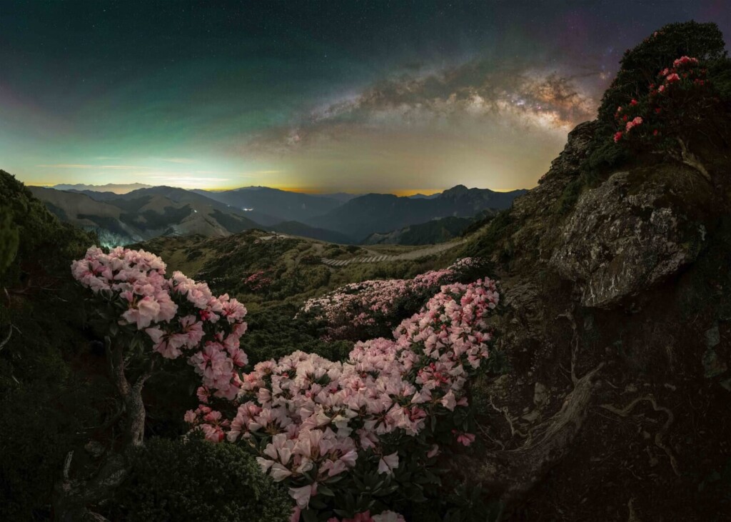 "Blossom" - Ethan Su