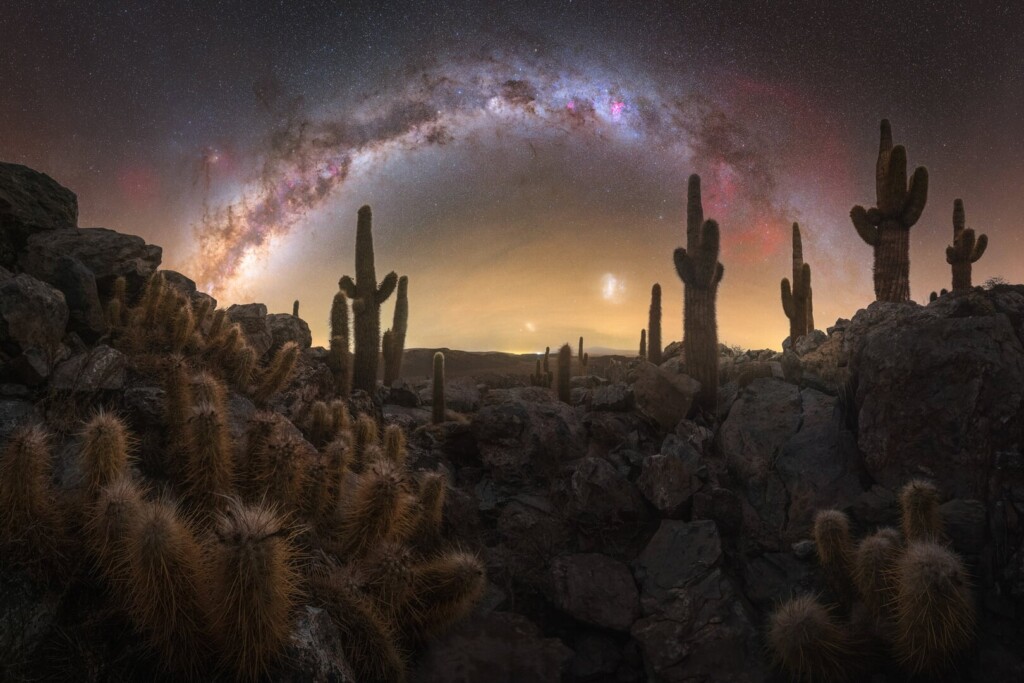"Valle de los Cactus" - Pablo Ruiz García
