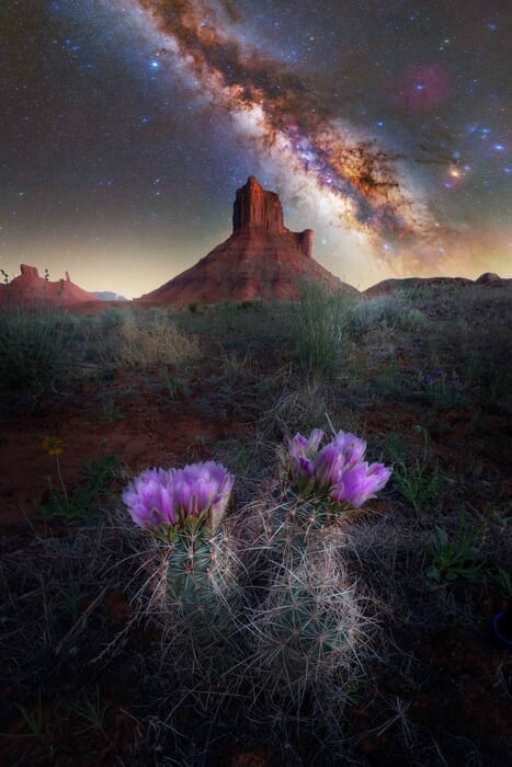 Milky Way Photography Utah workshop cactus