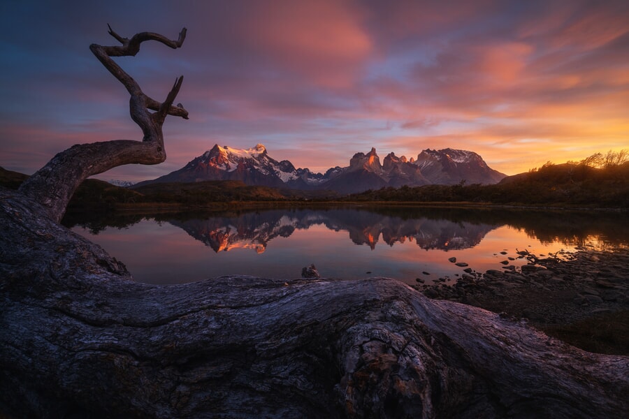 A tranquil sunset over mountains, with vibrant colors filling the sky and a tree silhouetted in the foreground. Argentinian Patagonia