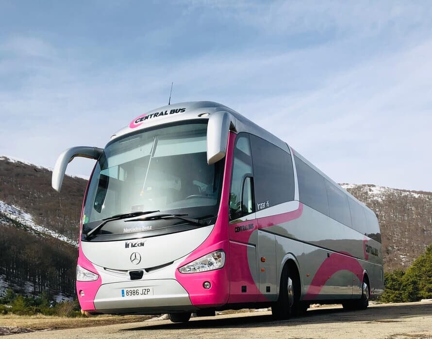 Un autobús rosa y blanco en la carretera