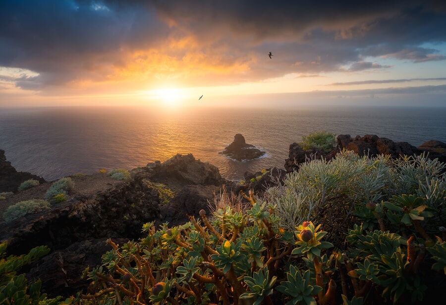 sunset above the sea, vegetation in the island