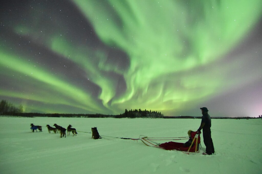 Dog sledding in Fairbanks, how to see the northern lights in alaska
