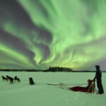 fairbanks aurora borealis tour