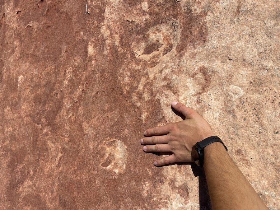 Dinosaur Tracks coyote buttes north az