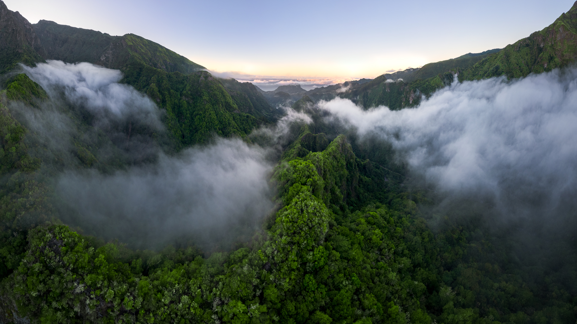Madeira con CTA