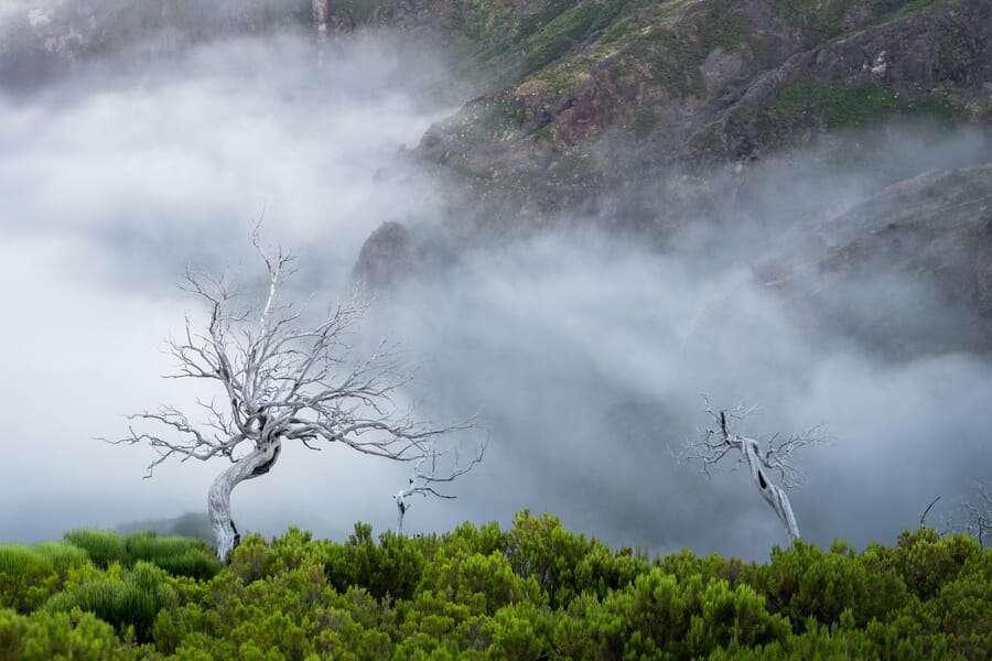 Nubes bajas en Madeira