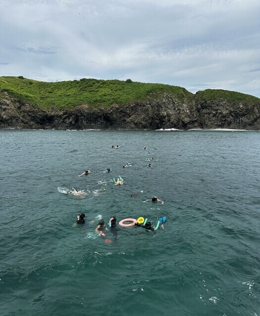 Tour de snorkeling en las Islas Catalinas