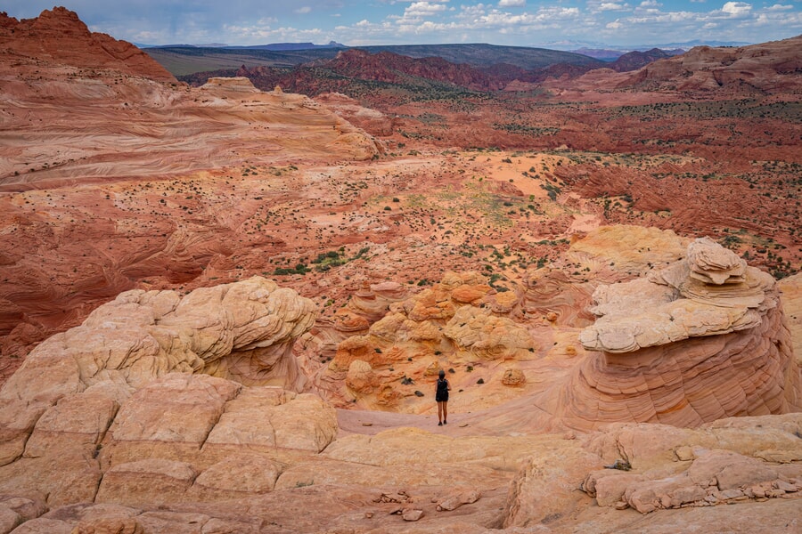 Paria Canyon wilderness near the wave