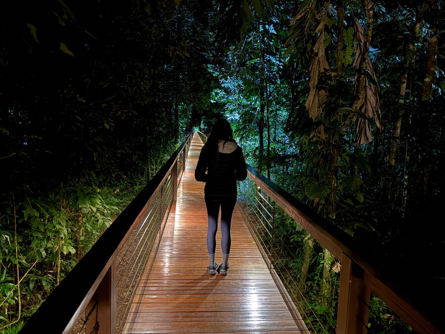 Night jungle tour at Tambopata Research Center