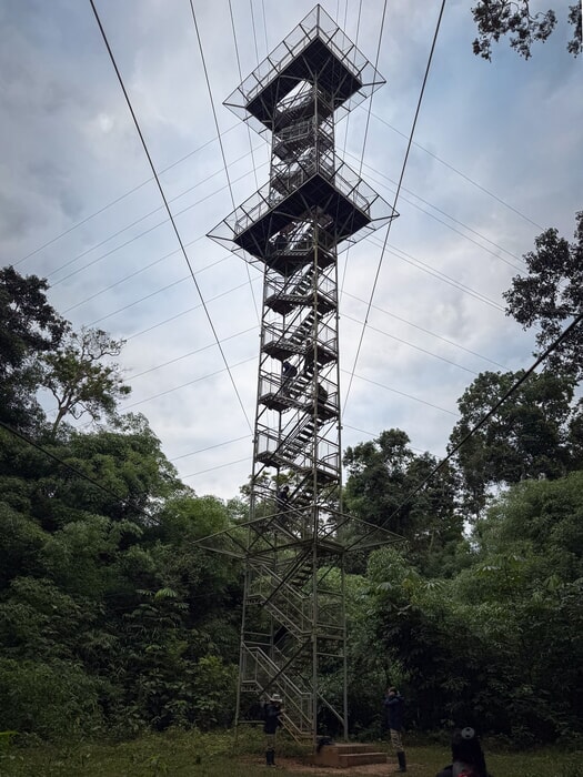 Canopy tower, tambopata jungle tours