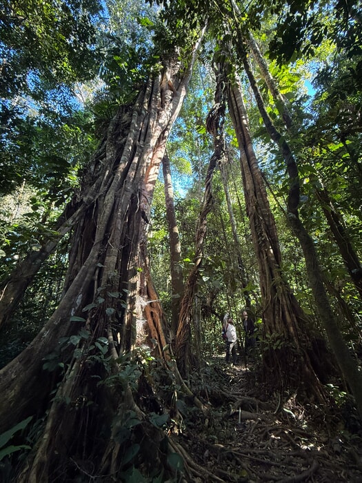 Tambopata citizen scientists project