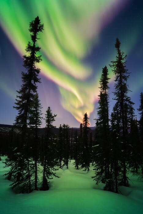Fairbanks Northern Lights photography tour