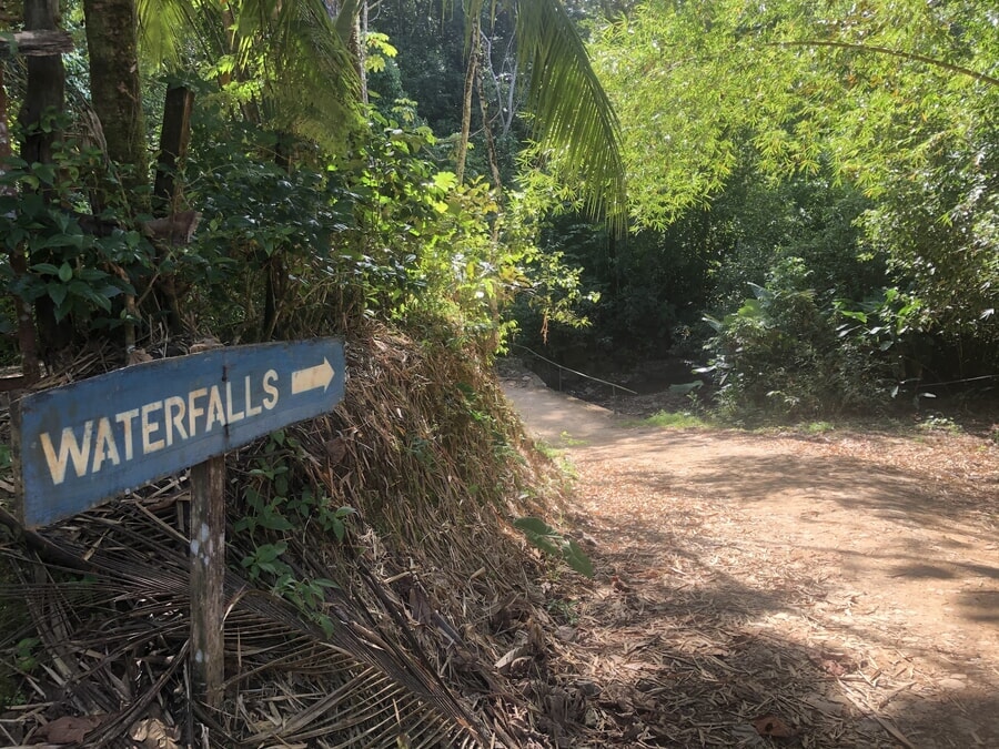 Cómo visitar la Catarata Nauyaca: caminata hacia la cascada
