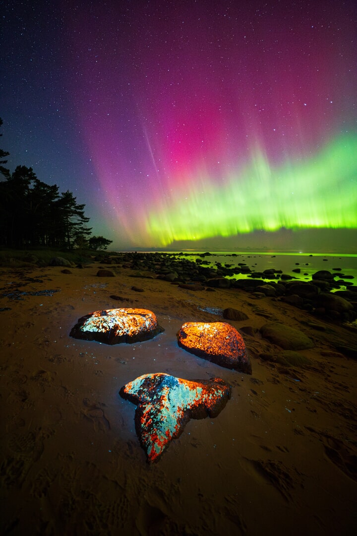 Northern Lights in Estonia Andres Papp 2025 Northern Lights Photographer of the Year