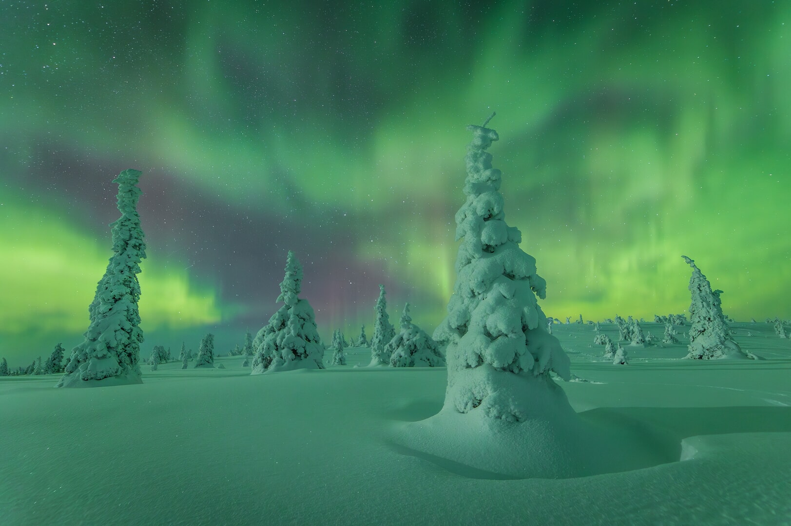 Northern Lights in Finland Nikki Born 2025 Northern Lights Photographer of the Year