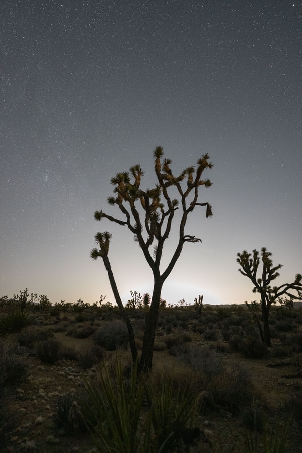 Capture the Night Filter before and afterUntracked Stock MojaveDSC05671