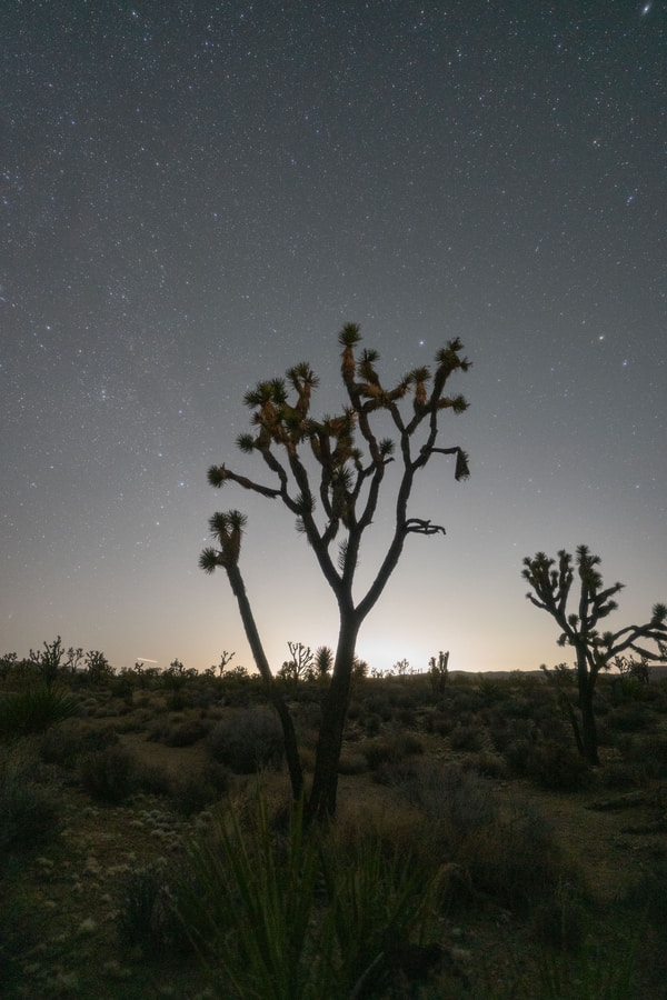 Capture the Night Filter before and afterUntracked Stock MojaveDSC05673