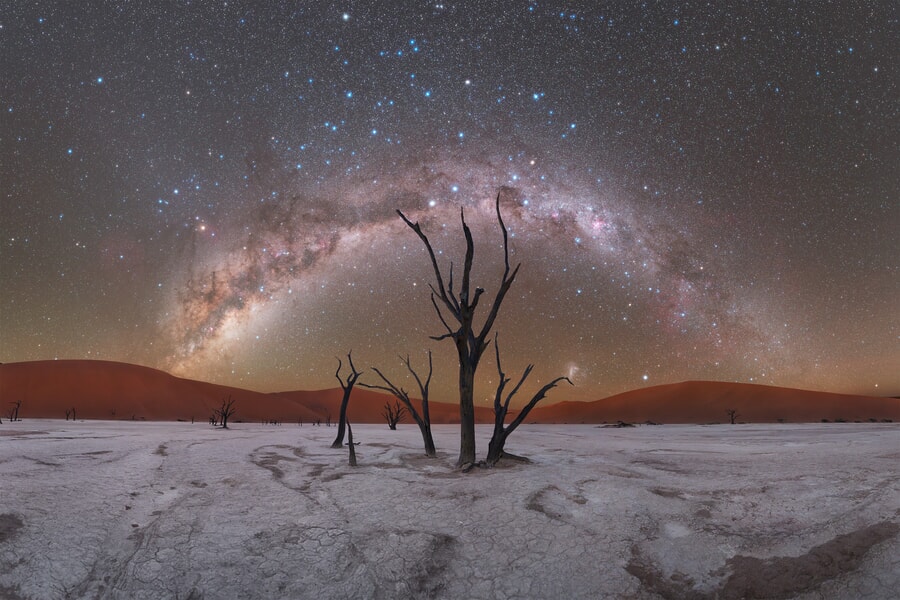Quiver tree forest Namibia photo tour Namibia Photo Tour