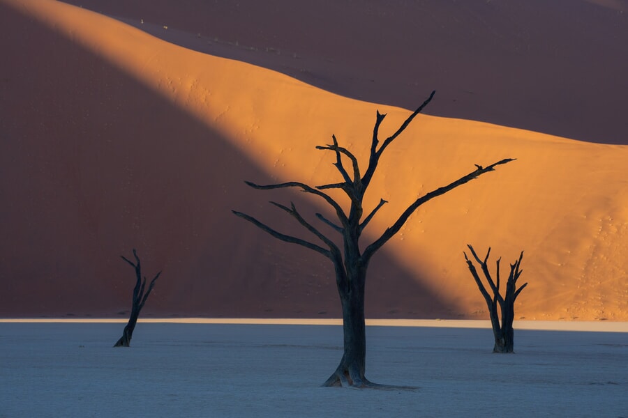 Namibia Photo Tour