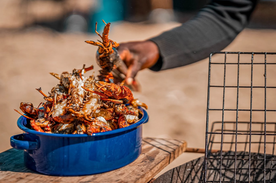 Meals Namibia Photo Tour