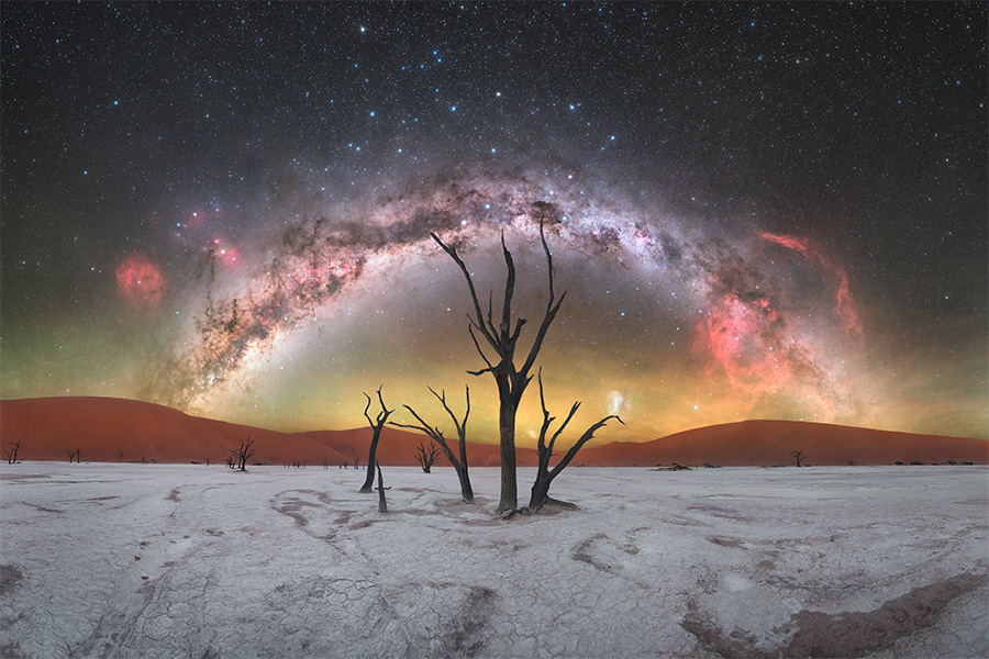 Quiver tree forest Namibia photo tour Namibia Photo Tour Capture the Atlas